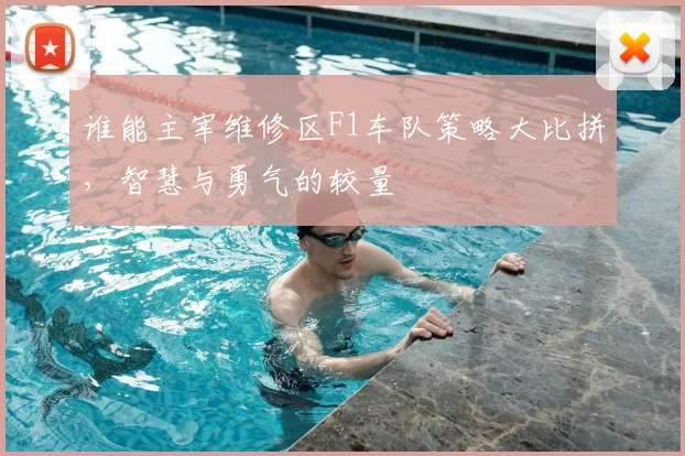 谁能主宰维修区F1车队策略大比拼,智慧与勇气的较量